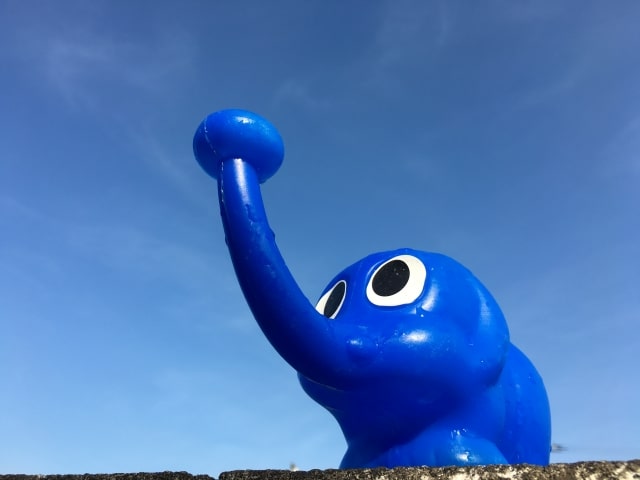 水やりは少なめ